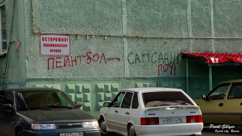 DSC00254.png