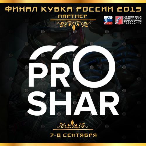 ПАРТНЕРЫ ЧЕМПИОНАТ 2019 proshar.jpg