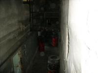 SSA50558.JPG