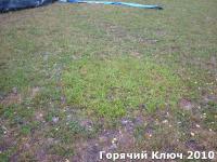 P1000278.jpg