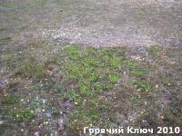P1000279.jpg