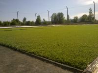 25052011087.jpg