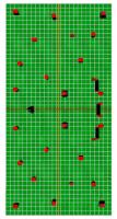 field_B_4.jpg