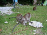 DSC03771.JPG