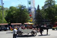 DSC04728.JPG