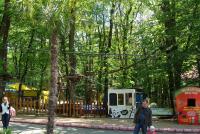 DSC04731.JPG