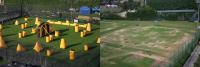 JT_field_1.jpg