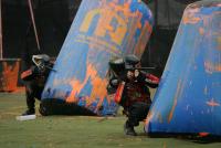 LC3B2017.JPG