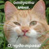 В Прагу!!! - последнее сообщение от SadCat